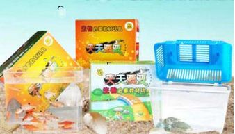 海洋生物產品與店鋪裝修 創新設計與生態美學的融合