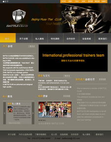 從概念到上線 現(xiàn)代網(wǎng)頁設計與網(wǎng)站構建的完整指南